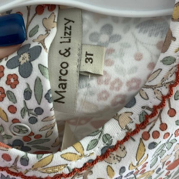 Marco & Lizzy 3T Fall Flowers Pima Cotton Dress NWT - Picture 3 of 3